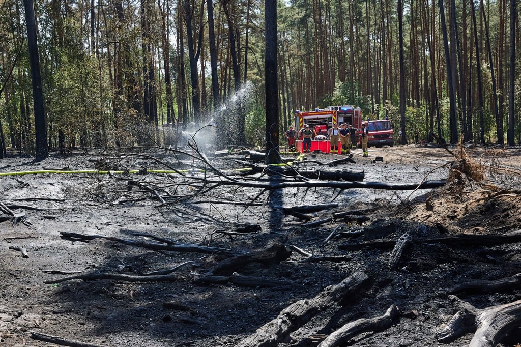 Ein Waldbrand in Lindow bei Neuruppin hat zu einem stundenlangen Feuerwehreinsatz geführt.