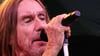 Iggy Pop beim Konzert auf der halleschen Peißnitzinsel: Von Tausenden Fans gefeiert.