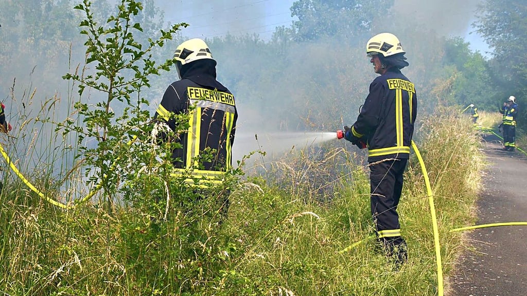 Die Einsatzkräfte der Ascherslebener Feuerwehr löschen den Flächenbrand am Wilslebener See.