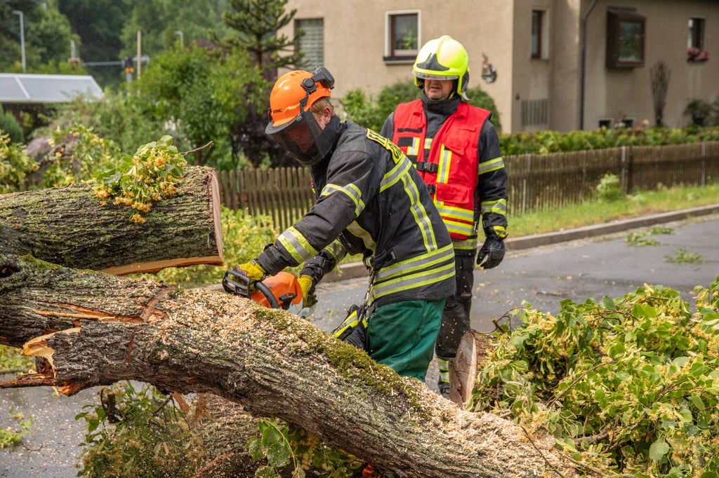 Mehrere Bäume sind auf die Straße gestürzt.