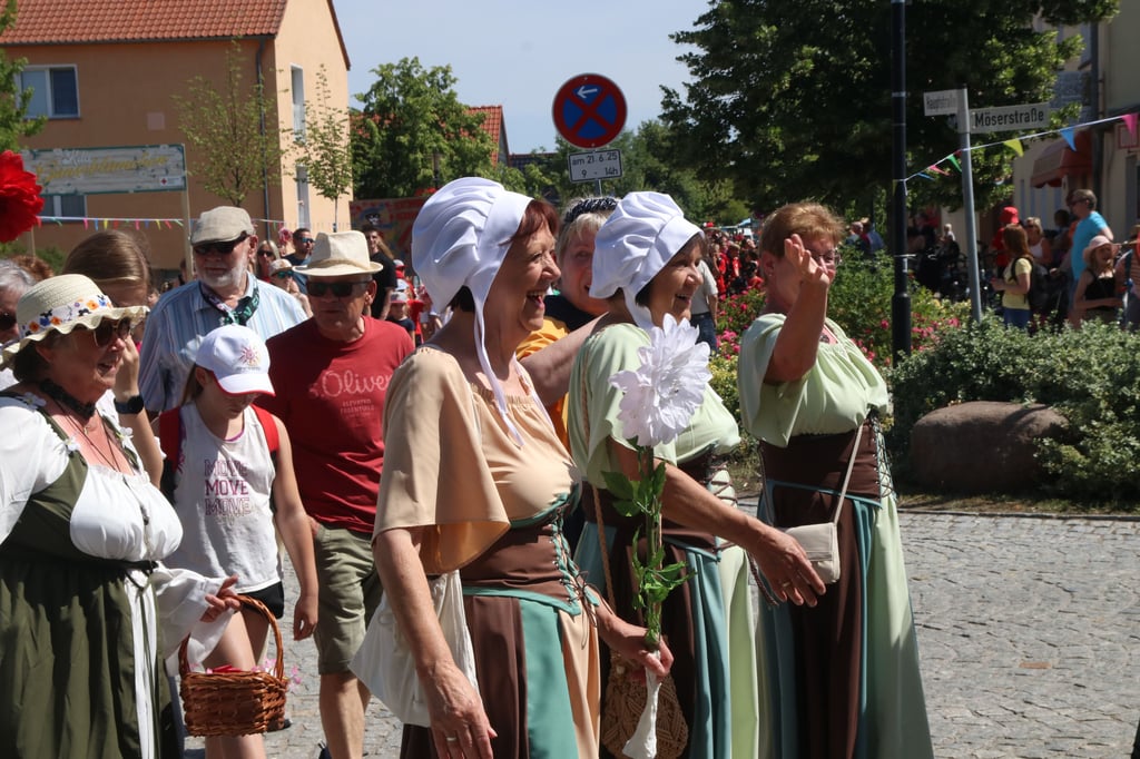 Die Frauen des Ortsbürgervereins in historischen Trachten.