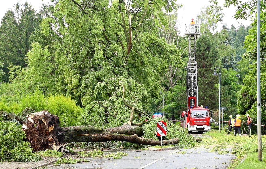 Heftige Sturmböen sorgten am Montag für umgeknickte Bäume und blockierte Straßen und Gleise in Chemnitz und Umgebung.