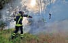 Am Niegripper See ist es am Sonntagabend, 22. Juni 2025,  zu einem Böschungsbrand gekommen, bei dem eine Fläche von etwa 1.000 Quadrameter verbrannt ist. Drei Feuerwehren waren im Einsatz. 