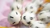 Ein Lotto-Spieler hat beim Spiel 77 einen hohen Gewinn abgeräumt.