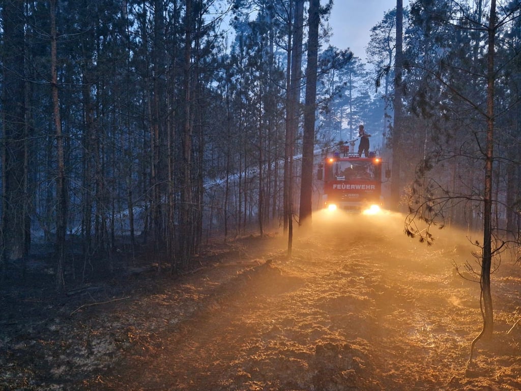 Immer wieder kommt es in Brandenburg im Sommer zu ausgedehnten Waldbränden. (Symbolbild)