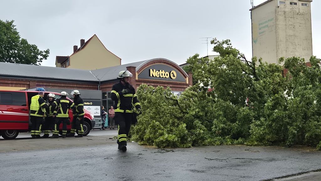 Auf dem Netto-Parkplatz zwischen Tangermünder und Magdeburger Straße in Stendal ist am Montag, 23. Juni, ein Baum umgeknickt.