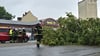 Auf dem Netto-Parkplatz zwischen Tangermünder und Magdeburger Straße in Stendal ist am Montag, 23. Juni, ein Baum umgeknickt.