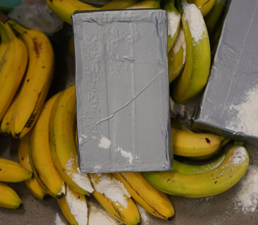 In mehreren Supermärkten in Berlin und Brandenburg sollen Ermittler versteckte Drogen in Bananenkisten gefunden haben. (Symbolbild)