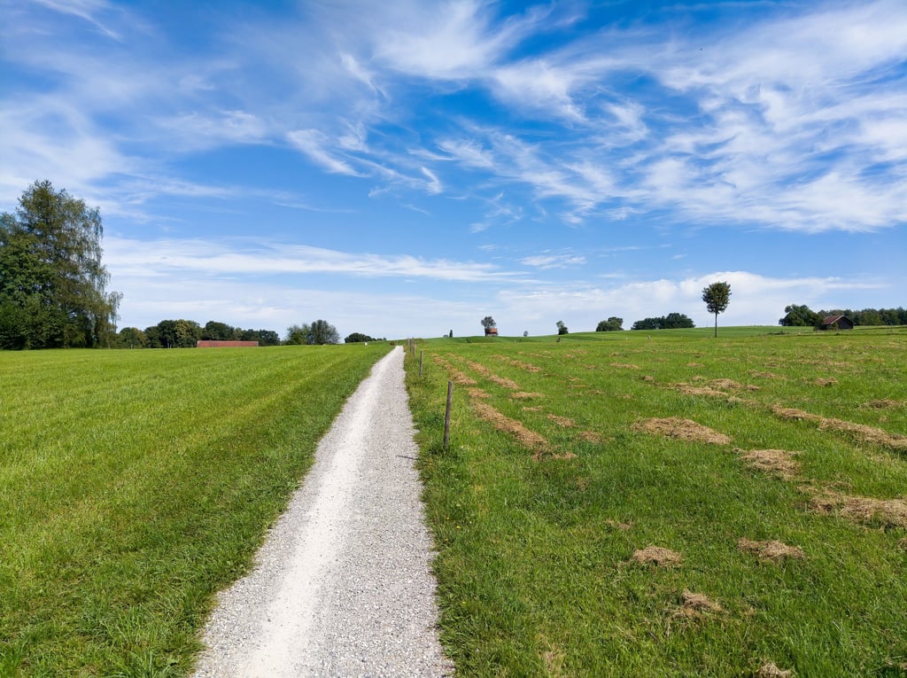 So schön kann ein Ausflug in der Altmark sein - auch sonst gibt es in Sachsen-Anhalt zahlreiche schöne Wandertouren. (Foto: