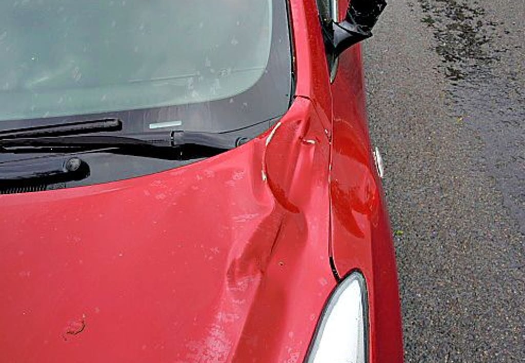Ein Ast, durch Sturm abgeknickt, beschädigte einen Hyundai zwischen Stöckheim und Mehmke.