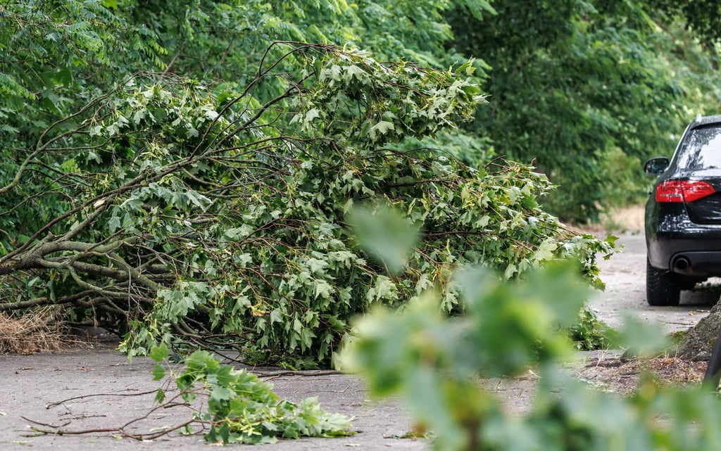 Nach dem Sturm vom Montagabend ist es in Berliner Wäldern nicht sicher.