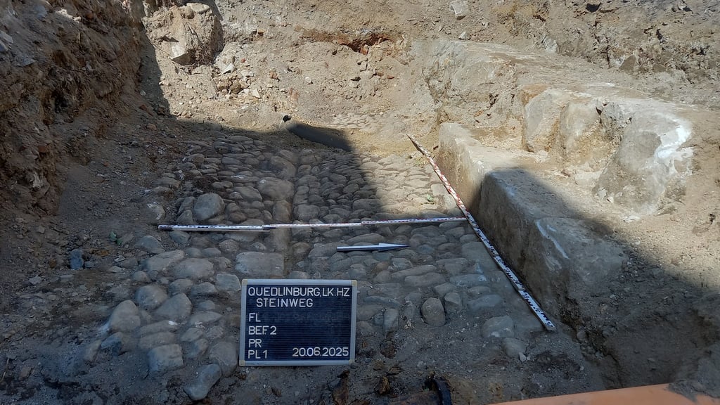 Das Foto zeigt das bei den Arbeiten im Steinweg in Quedlinburg entdeckte Feldsteinpflaster und die daneben verlaufende Mauer.