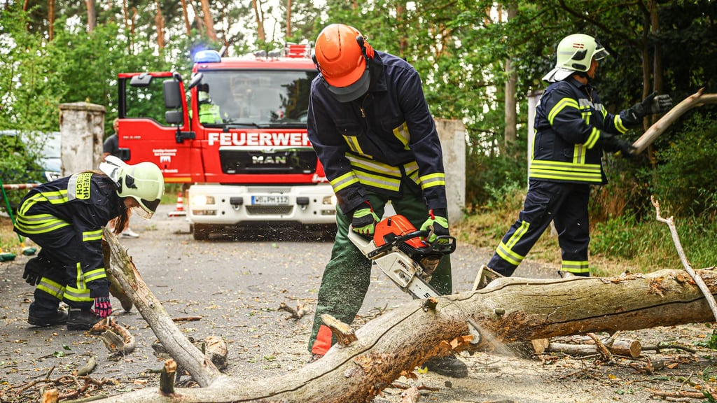 Einsatzkräfte entfernen einen Baum von der Straße.