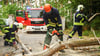 Einsatzkräfte entfernen einen Baum von der Straße.