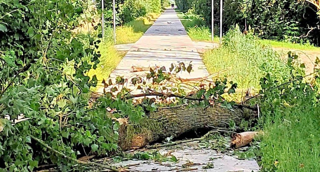 Auch der gerade erst eröffnete Radweg zwischen Kalbe und Bismark blieb nicht verschont und wurde gleich von mehreren Bäumen blockiert.
