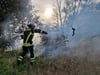 Drei Feuerwehren warn bei dem Flächenbrand am Niegripper See im Einsatz, zu dem es am Sonntagabend, 22. Juni 2025 gekommen war.