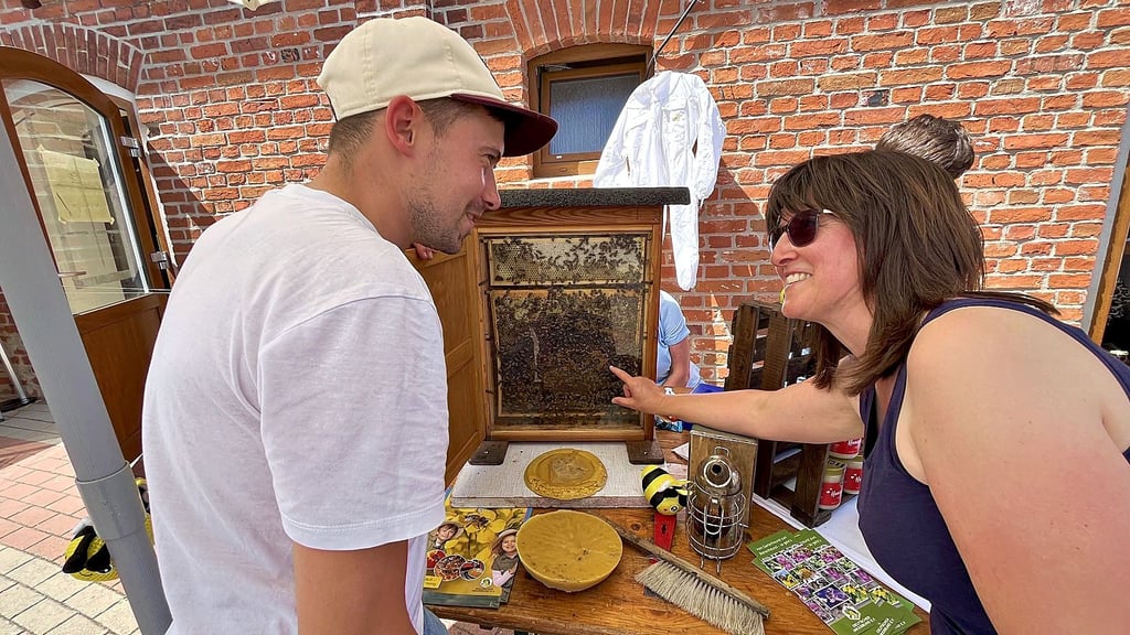 Wie funktioniert das mit dem Honig? Auf dem Topfmarkt zeigen die „Bienenschwestern“ per Schaukasten vielen Interessenten mehr von ihrem Hobby.