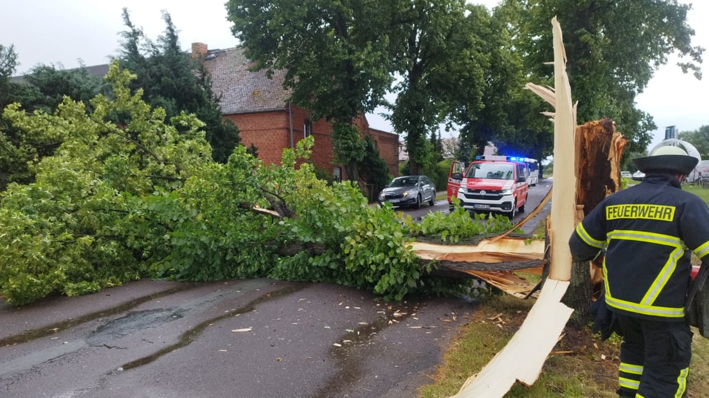 Im Altkreis Osterburg waren die Feuerwehren nach dem Sturm am Montagabend im Dauereinsatz.