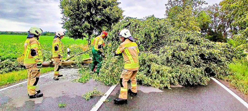 Mehrere Einsätze der Feuerwehr aufgrund von Sturmböen in Oschersleben.