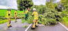 Mehrere Einsätze der Feuerwehr aufgrund von Sturmböen in Oschersleben.