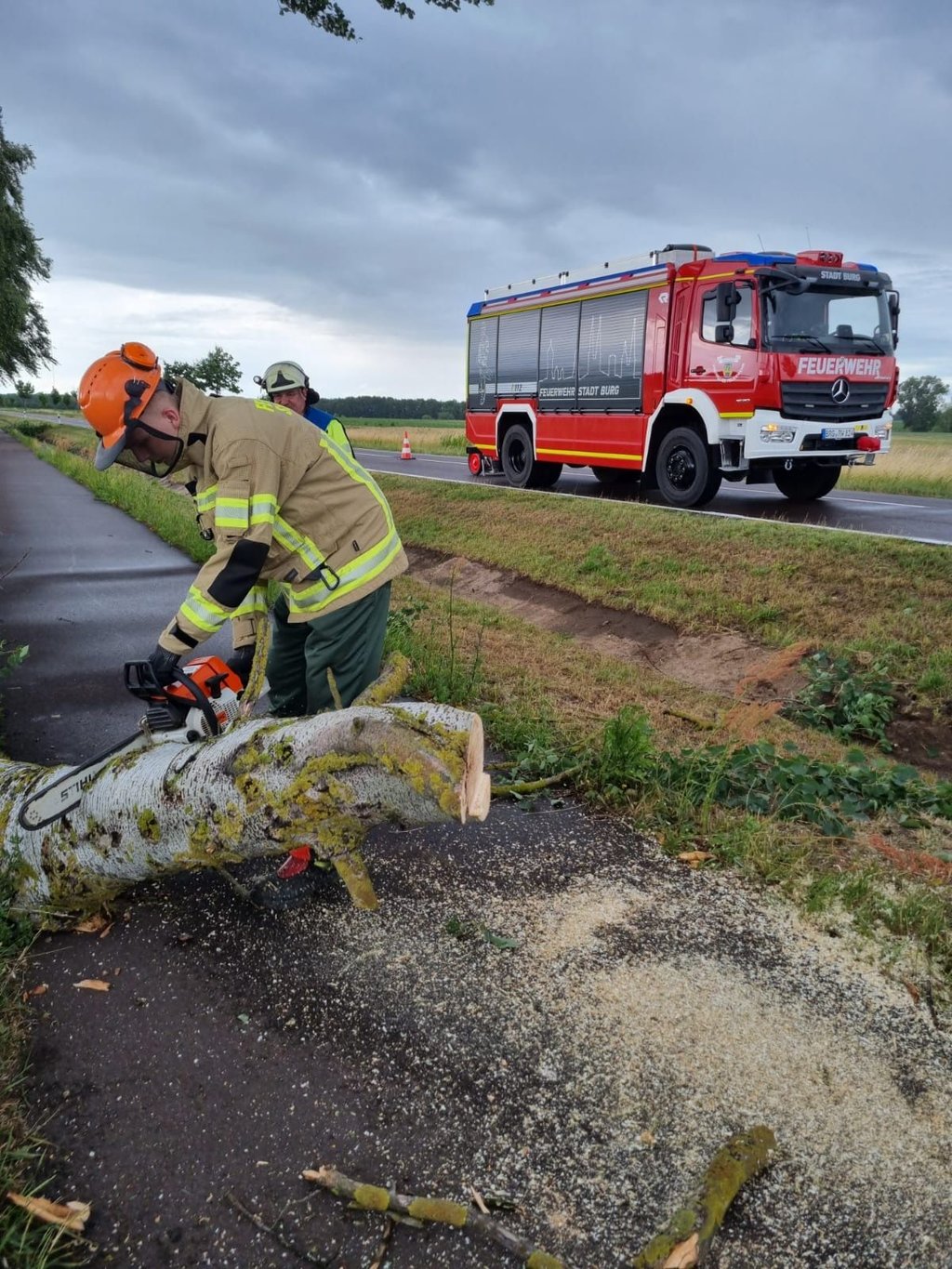 An der Landstraße nach Grabow kam die Kettensäge zum Einsatz. Hier musste die Feuerwehr aus Burg einen umgestürzten Baum beseitigen.