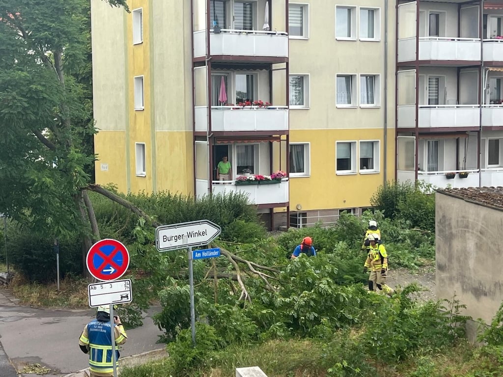 Die Feuerwehr in Burg war am Montagnachmittag im Einsatz, um umgestürzte Bäume von den Straßen zu beseitigen.