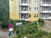 Die Feuerwehr in Burg war am Montagnachmittag im Einsatz, um umgestürzte Bäume von den Straßen zu beseitigen.
