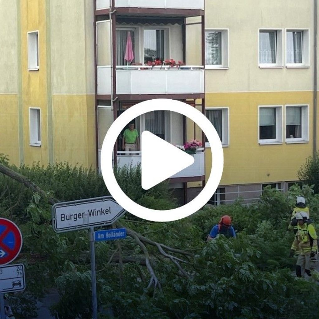 Die Feuerwehr in Burg war am Montagnachmittag im Einsatz, um umgestürzte Bäume von den Straßen zu beseitigen.