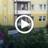 Die Feuerwehr in Burg war am Montagnachmittag im Einsatz, um umgestürzte Bäume von den Straßen zu beseitigen.