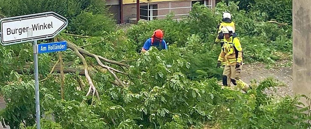 Für die Burger Feuerwehr galt es am Montagnachmittag, in der Wilhelm-Kuhr-Straße einen umgestürzten Baum zu beräumen.