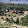 Fahrgäste der Harzer Schmalspurbahnen müssen demnächst 250 Euro zahlen, wenn sie gegen das Rauchverbot in den Zügen verstoßen.