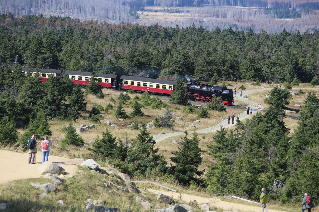 Fahrgäste der Harzer Schmalspurbahnen müssen demnächst 250 Euro zahlen, wenn sie gegen das Rauchverbot in den Zügen verstoßen. (Archivbild)