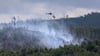 Der am Sonntag, 22. Juni, westlich von Goslar ausgebrochene Waldbrand wird Feuerwehren, Bergwacht und THW wohl noch bis zum Wochenende beschäftigen. 