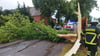 Im Altkreis Osterburg waren die Feuerwehren nach dem Sturm am Montagabend im Dauereinsatz.