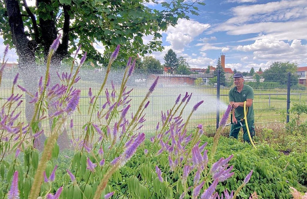 Die Einschränkungen zur Wasserentnahme betreffen öffentliche und private Grün- und Gartenflächen im gesamten Jerichower Land.