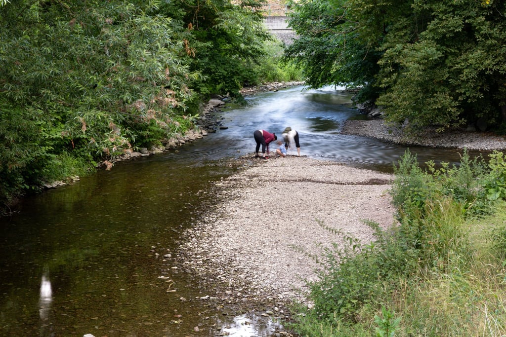 Zahlreiche Flüsse in Thüringen führen aktuell nur Niedrigwasser. (Archivbild)