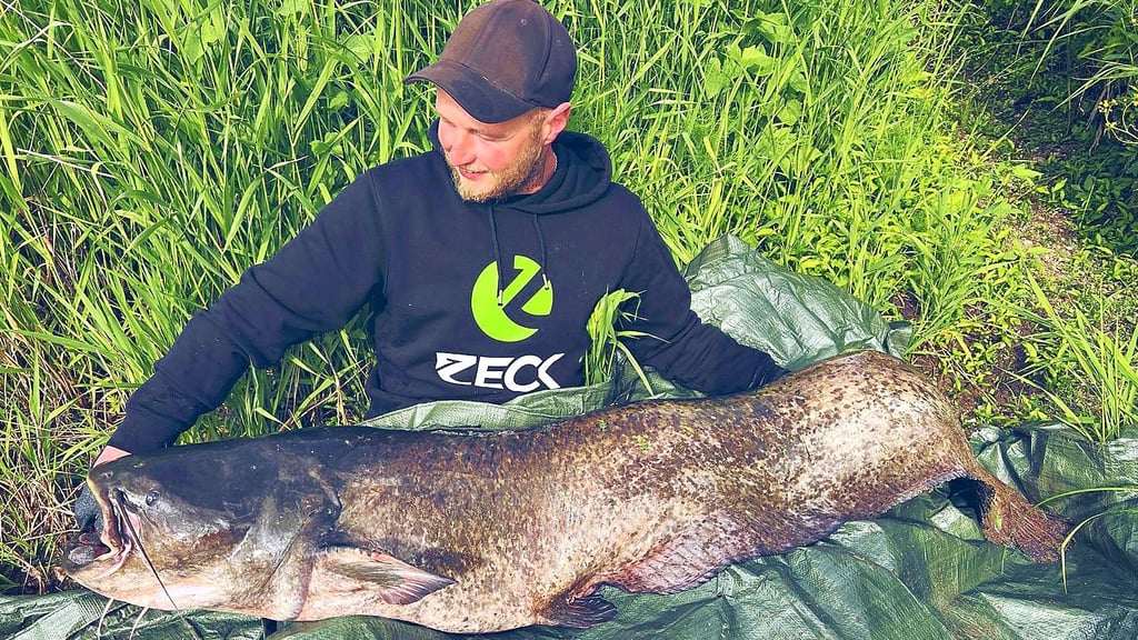 Martin Herrler ist mit einem 1,92m-Wels einen Riesen-Fang gelungen.