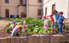 Kinder der Balgstädter Kita „Zwergenschloss“ kümmern sich um ihr Beet, in dem unter anderem jetzt die Johannisbeeren reifen. 