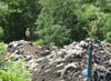 Störche auf der Kompostieranlage in Beuna am 20. Juni 2025