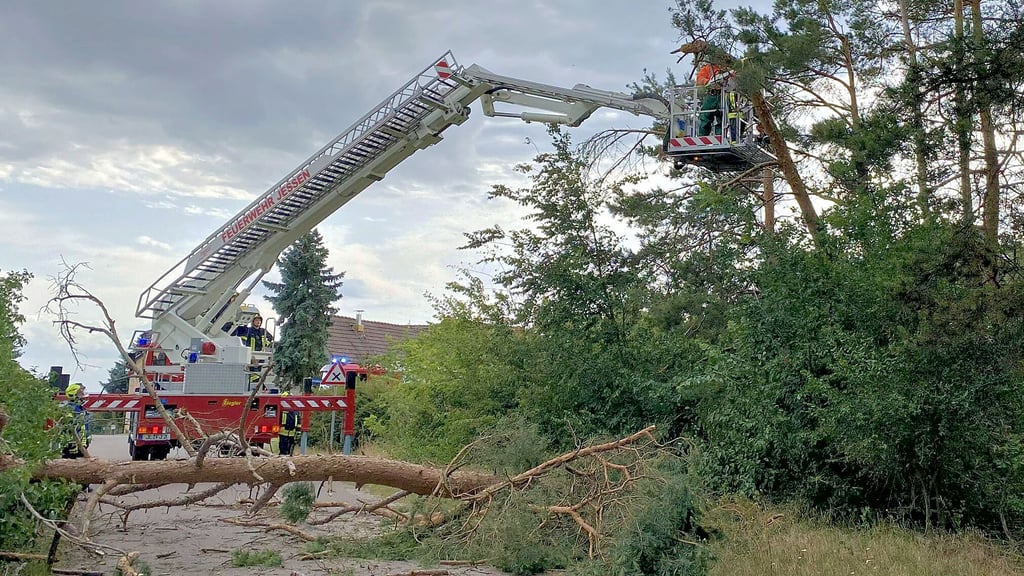 Die Jessener Feuerwehrleute tragen am Montagabend zunächst einen umsturzgefährdeten Baum in der Arnsdorfer Reihe ab.