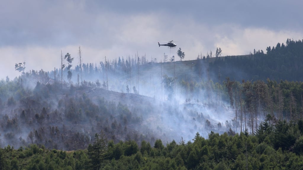 Beim Löschen des seit Tagen brennenden Waldstücks bei Goslar unterstützen seit der Nacht zum Donnerstag (26. Juni) auch Feuerwehrleute aus dem sachsen-anhaltischen Harzkreis mit Personal und Technik.
