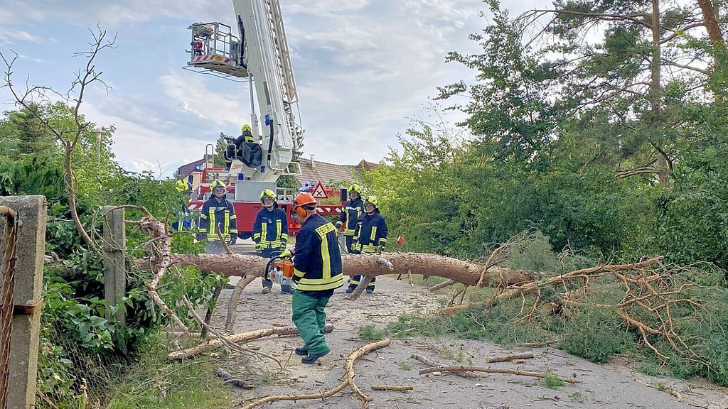 In der Arnsdorfer Reihe in Jessen hatte der Wind einen Baum quer über die Straße geworfen.