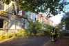 Die umgestürzte Baum in der Zerbster Käsperstraße hätte Menschen treffen können. Hier war wohl viel Glück im Spiel.