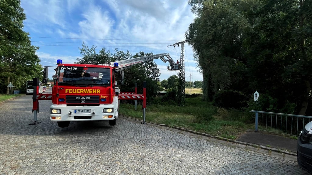 Am Ortsausgang Kämeritz hatte sich ein Ast in einer Stromleitung verfangen. Hier musste der Hubsteiger anrücken.