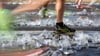 Nicht wegrennen: Auch beim Entsorgen von Bechern, Verpackungen und Equipment sollten Sportler konsequent dranbleiben.