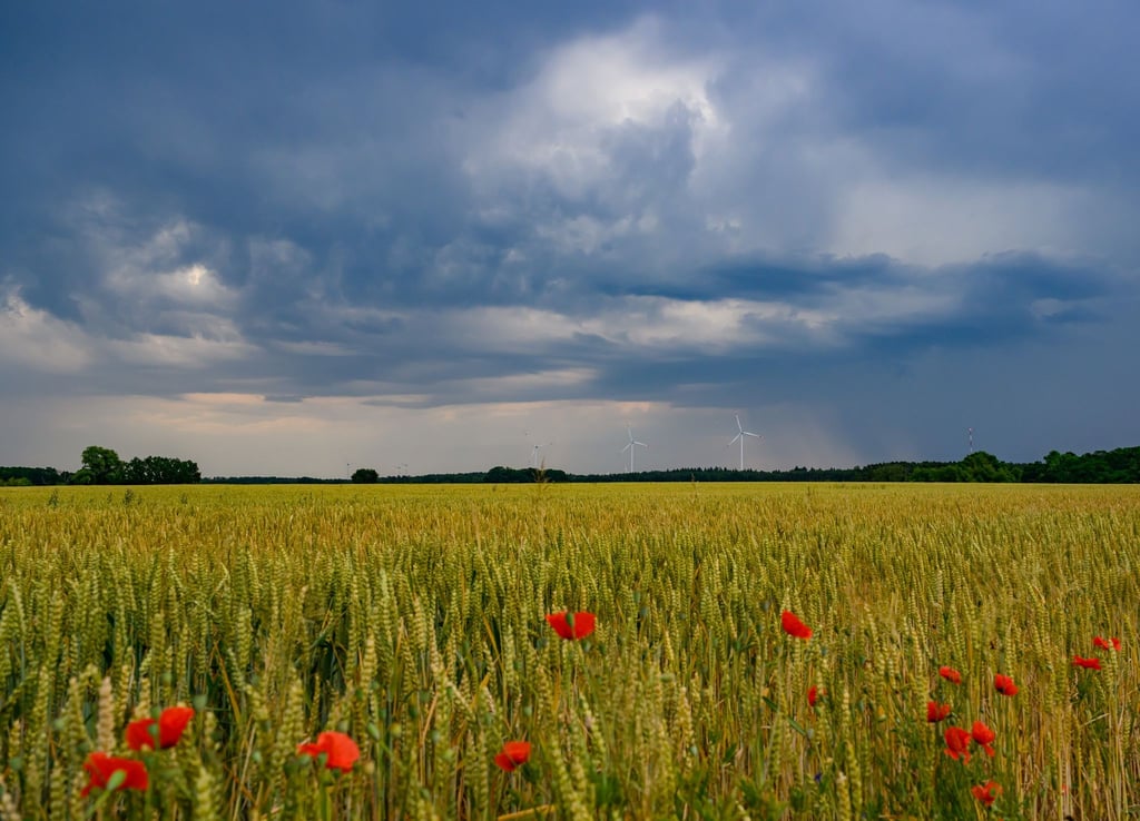 Die Sonne ist in den nächsten Tagen kaum hinter der dichten Wolkendecke zu sehen. (Symbolbild)
