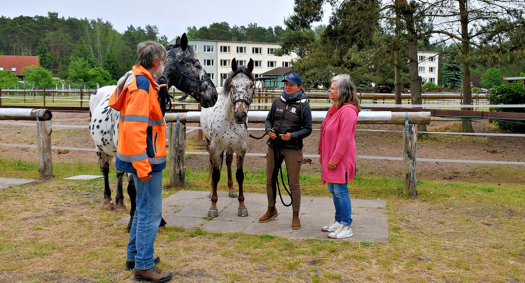 Erwin Schmid und Andrea Greiner-Schmid (rechts) im Gespräch mit Frauke Bode, die des Öfteren zu Gast ist.