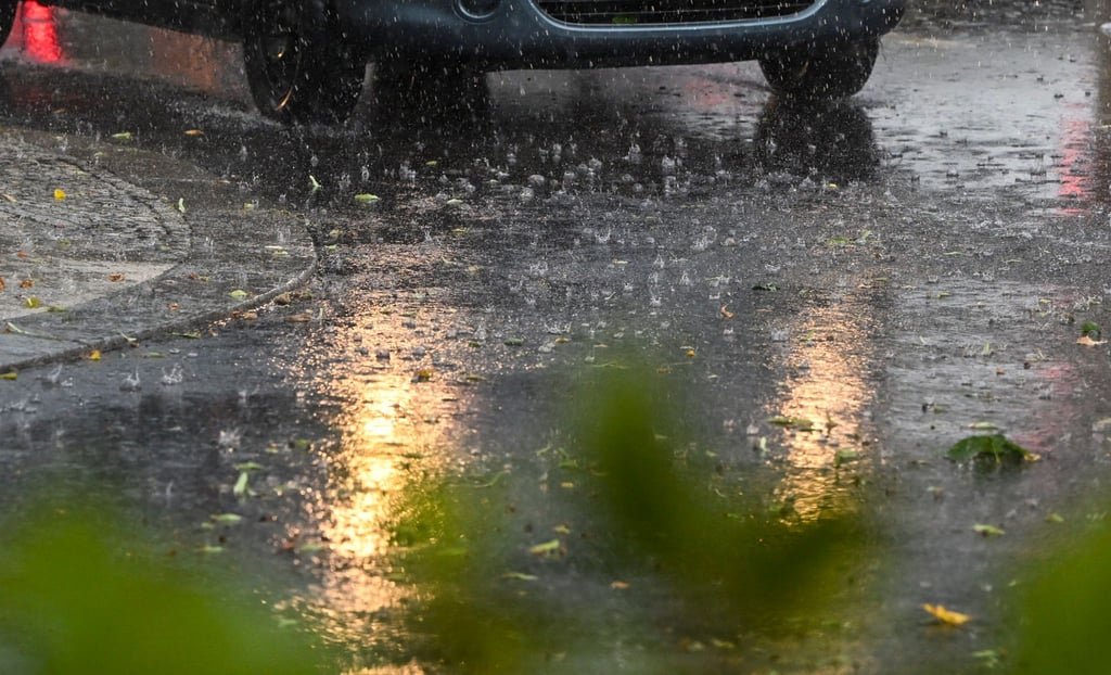 In Potsdam ist ein Mensch bei einem Unwetter lebensbedrohlich verletzt worden. (Symbolbild)