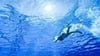Wer nicht 6-12 Wochen mit dem Schwimmen pausieren möchte, kann frisch gestochene Ohrlöcher mit einem wasserfesten Pflaster und antiseptischen Produkten vor möglichen Keimen schützen.