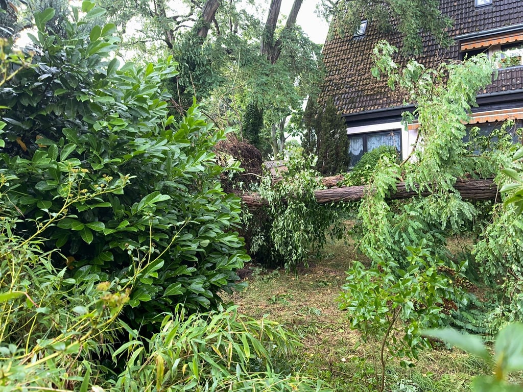 Im Berliner Nordwesten, wie hier im Stadtteil Heiligensee, wurden viele Bäume durch die Windböen entwurzelt.